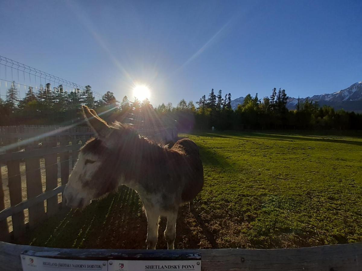 Rodinny Hotel Hubert High Tatras Vysoké Tatry エクステリア 写真